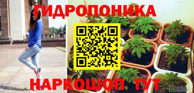 шишки Ливны