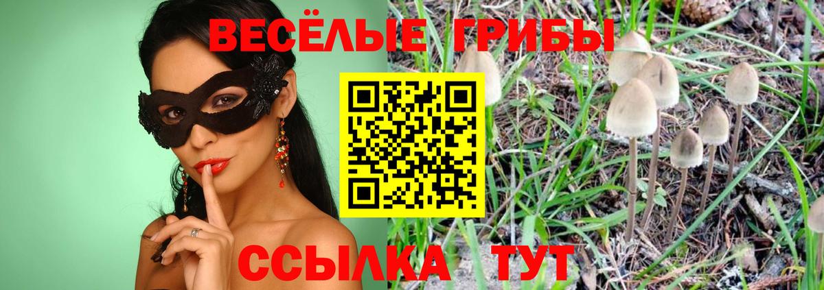 Галлюциногенные грибы ЛСД  Вход с VPN  наркошоп  Карасук  Галлюциногенные грибы мухоморы 