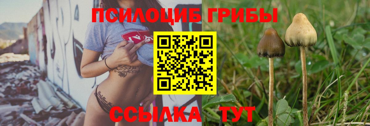 Галлюциногенные грибы Cubensis Карасук